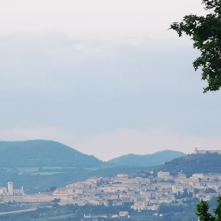 לינה וארוחת בוקר Cannara La Casa Dei Tigli מראה חיצוני תמונה