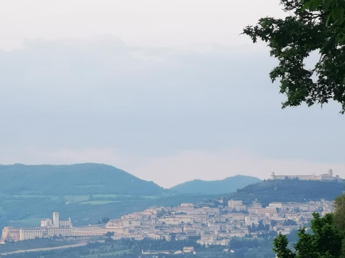 לינה וארוחת בוקר Cannara La Casa Dei Tigli מראה חיצוני תמונה
