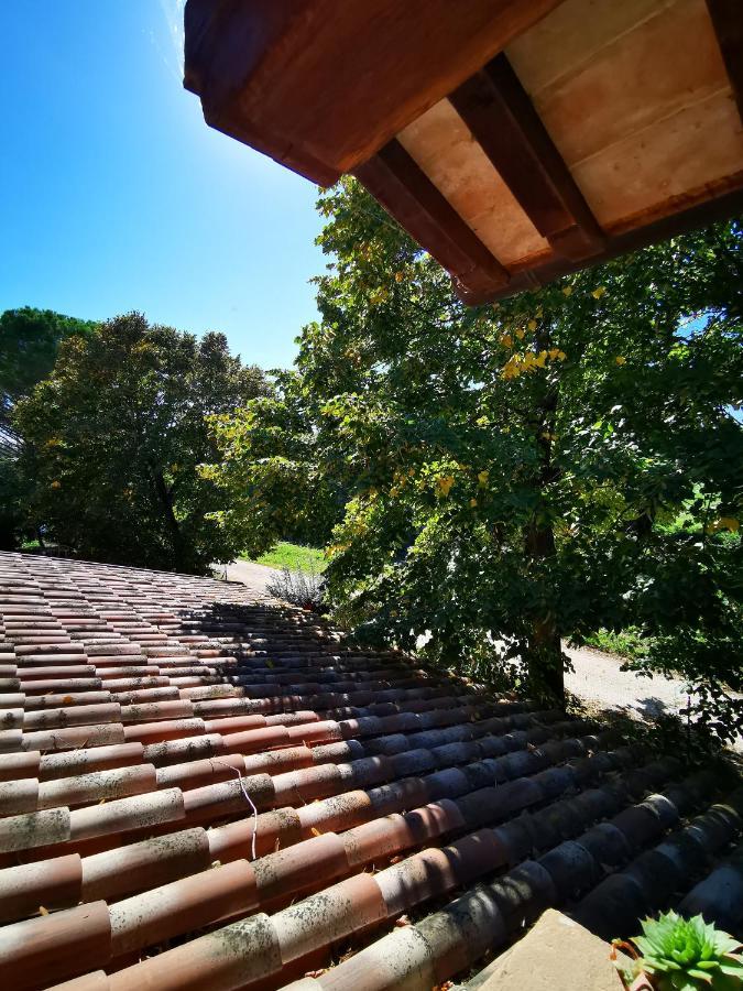 לינה וארוחת בוקר Cannara La Casa Dei Tigli מראה חיצוני תמונה
