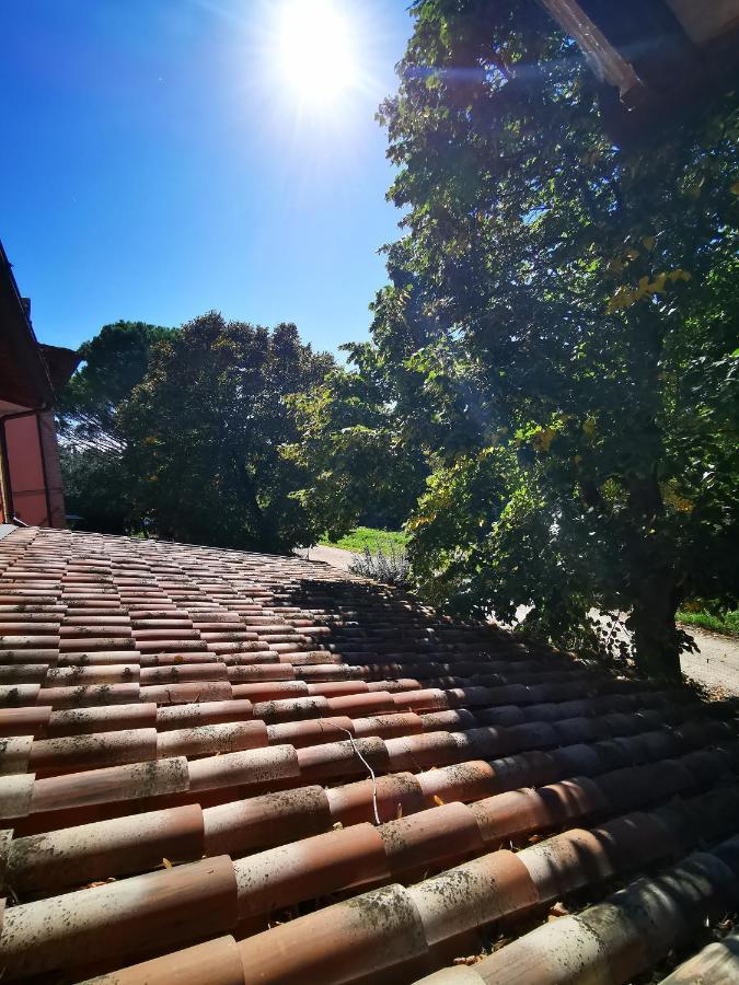 לינה וארוחת בוקר Cannara La Casa Dei Tigli מראה חיצוני תמונה