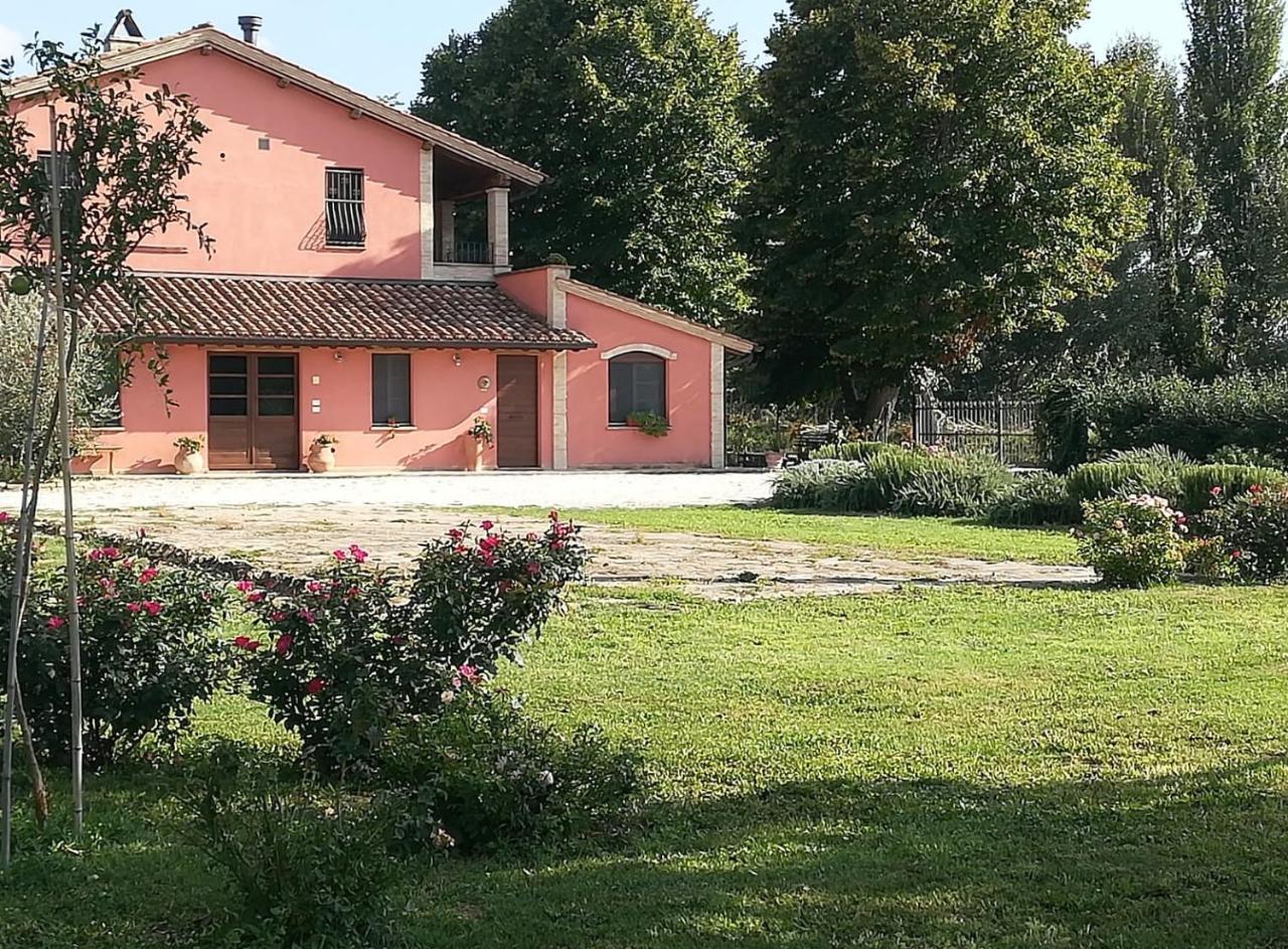 לינה וארוחת בוקר Cannara La Casa Dei Tigli מראה חיצוני תמונה