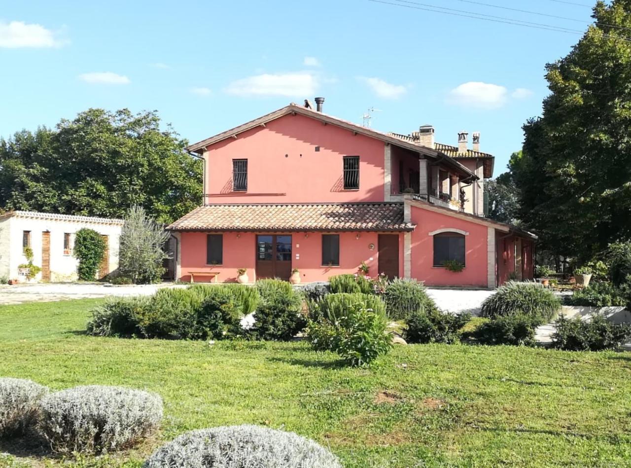 לינה וארוחת בוקר Cannara La Casa Dei Tigli מראה חיצוני תמונה